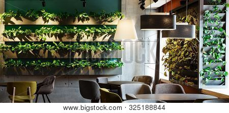 Ecology Design. Floral Interior In Modern Cafe With Plants In Craft Pots On The Wall, Panorama