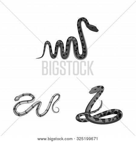 Vector Design Of Harm And Bite Symbol. Set Of Harm And Reptile Stock Vector Illustration.