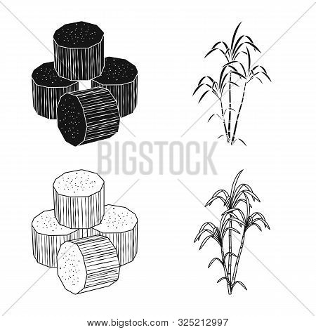 Isolated Object Of Farm And Agriculture Sign. Collection Of Farm And Technology Stock Vector Illustr