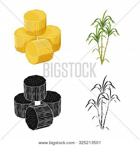 Vector Design Of Farm And Agriculture Logo. Collection Of Farm And Technology Vector Icon For Stock.