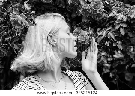Aroma Of Roses. Girl Adorable Blonde Sniffing Fragrance Of Pink Bloom. Spring And Summer. Perfume An