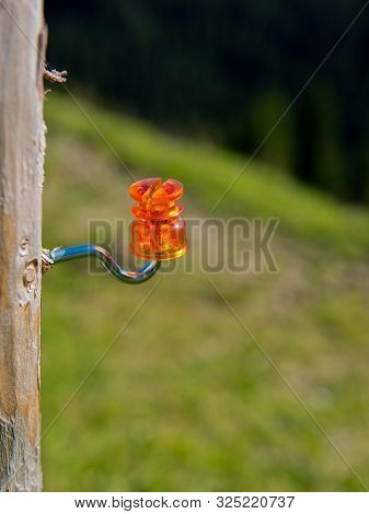 Closeup Of A Orange Electric Fence Insulator Screwed On A Wooden Post.