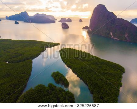 Aerial Vire Green Tropicl Mangrove Forest