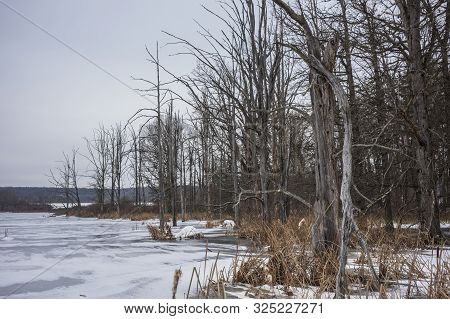 A Frozen, Winter Landscape Photograph Taken From A Nature Preserve In New York State, Showing A Froz