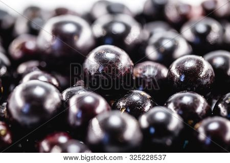 The Jabuticaba Or Jaboticaba Is The Fruit Of The Jaboticabeira Or Jabuticabeira, A Brazilian Fruit T