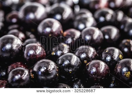 The Jabuticaba Or Jaboticaba Is The Fruit Of The Jaboticabeira Or Jabuticabeira, A Brazilian Fruit T