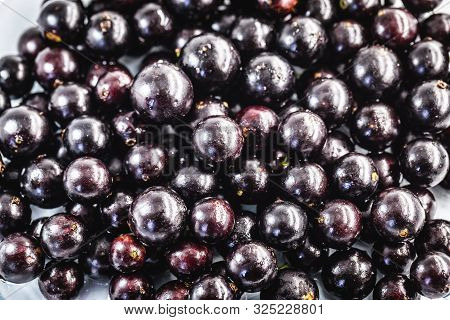 The Jabuticaba Or Jaboticaba Is The Fruit Of The Jaboticabeira Or Jabuticabeira, A Brazilian Fruit T