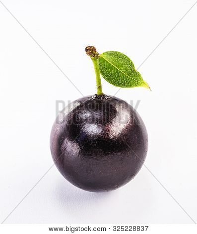 Jaboticaba Or Jabuticaba Is A Purplish Black-white Fruit That Can Be Eaten Raw Or Used To Make Jams,