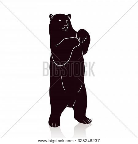 Bear Silhouette Vector Isolated On White Backround