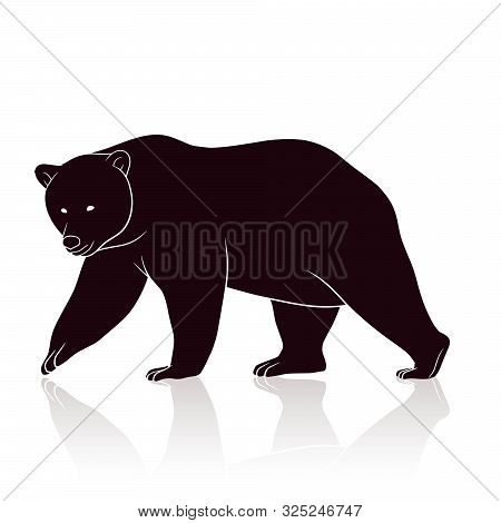 Bear Silhouette Vector Isolated On White Backround