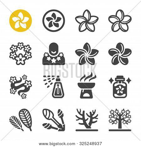 Plumeria Flower Icon Set Vector And Illustration