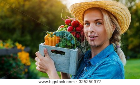 Young 30-35 Years Old Beautiful Woman Farmer Hat With Box Fresh Ecological Vegetables Garden Backgro