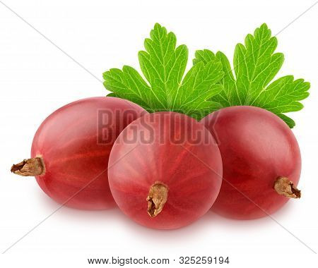 Group Of Ripe Sweet Gooseberries With Leaves Isolated On White Background.
