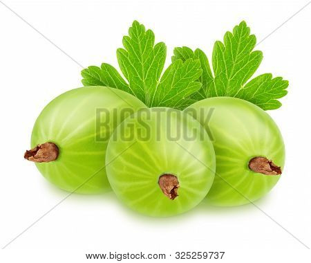 Group Of Ripe Sweet Gooseberries With Leaves Isolated On White Background.