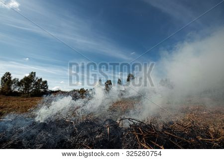 A Column Of Smoke In The Field, Fires, Fire In Nature, The Destruction Of Tree Plants.