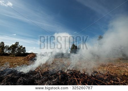 A Column Of Smoke In The Field, Fires, Fire In Nature, The Destruction Of Tree Plants.