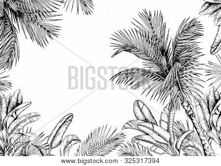 Tropical Card With Palm Trees And Leaves. Black And White. Hand Drawn Vector Illustration.