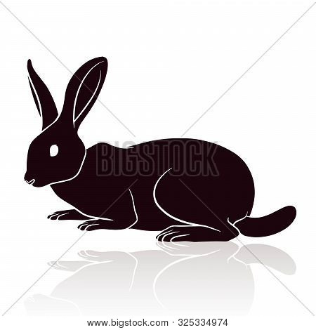 Rabbit Silhouette Vector Illustration Isolated On White Background
