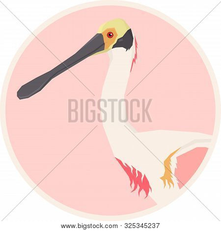 Roseate Spoonbill Bird Vector Illustration Round Frame Set