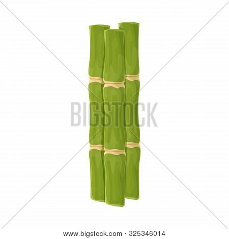 Vector Design Of Sugar And Cane Logo. Web Element Of Sugar And Plant Vector Icon For Stock.