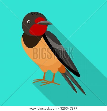 Isolated Object Of Bird And Nightingale Logo. Set Of Bird And Small Stock Vector Illustration.