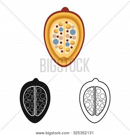 Vector Design Of Groundnut And Seed Symbol. Set Of Groundnut And Vitamins Vector Icon For Stock.
