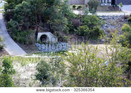 Water Catchment Area and Native Flora Regeneration in Residential Estate