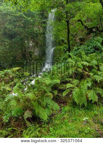 Beautiful South Wales Melincourt Falls Waterfall Rocks Wet
