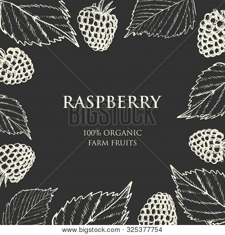 Hand Drawn Raspberry Set Isolated On White Background. Retro Sketch Style Vector Illustration. Gold 