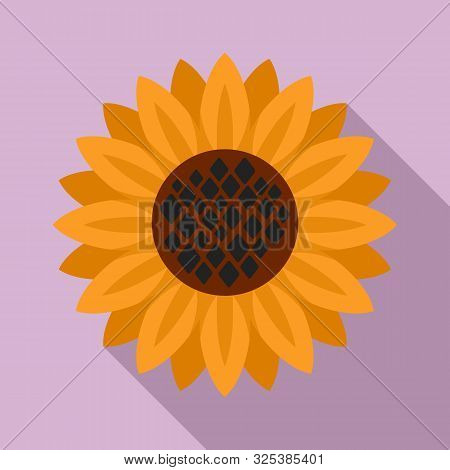 Helianthus Plant Icon. Flat Illustration Of Helianthus Plant Vector Icon For Web Design
