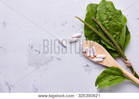 Alternative Medicine, Naturopathy And Dietary Supplement. Herbal Remedy In Capsules And Plants Over 