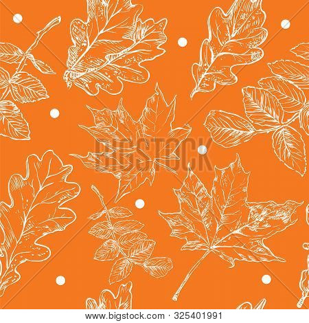 Vector Autumn Hand Drawing Seamless Pattern With White Color Maple Tree, Rose Hip, Oak Tree Leaves O