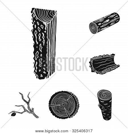 Vector Illustration Of Hardwood And Construction Icon. Collection Of Hardwood And Wood Vector Icon F