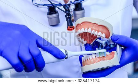 Real Dentist With Blue Gloves Showing On A Jaw Model How To Clean The Teeth With Tooth Brush Properl