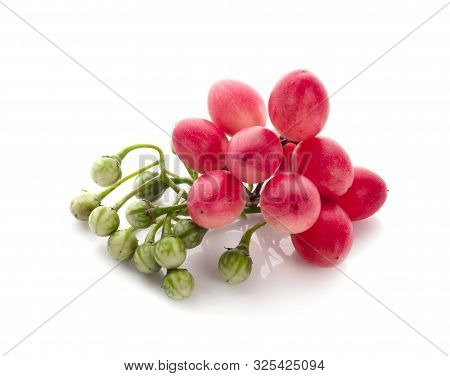 Green High Vitamin Solanum Torvum(plate Brush) On White Background