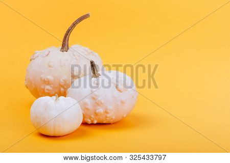 Halloweeen Theme With A Pumpkins On A Yellow Background