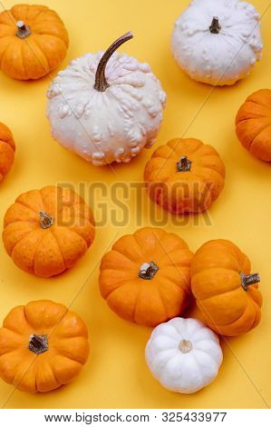 Halloweeen Theme With A Pumpkins On A Yellow Background