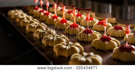 Cookie Making Factory Bakery Fresh Cook Biscuit