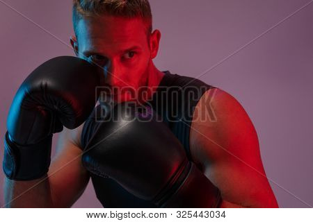 Photo of a concentrated strong young sports man boxer posing isolated over neon lights in gloves make boxing exercises.