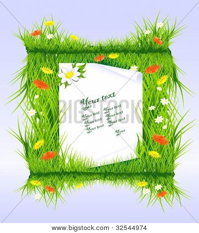 Lettera in erba