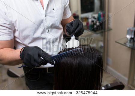 Hairdresser Applying On Wet Brown Brunette A Cream Masking.stylist With Brush In Hand Applying Natur