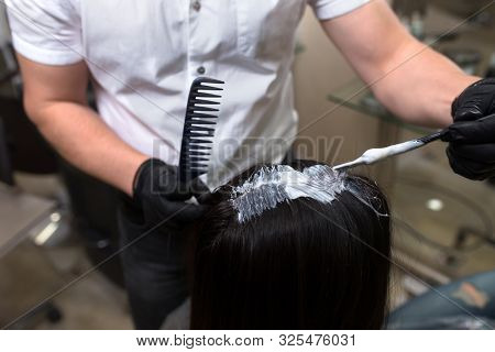 Hairdresser Applying On Wet Brown Brunette A Cream Masking.stylist With Brush In Hand Applying Natur