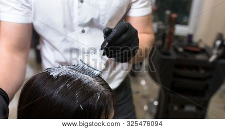 Hairdresser Applying On Wet Brown Brunette A Cream Masking.stylist With Brush In Hand Applying Natur