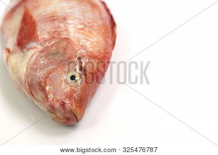 Close Up Fresh Raw Fish,red Tilapia,nile Tiapia (oreochromis Niloticus-mossambicus)