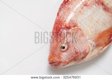 Close Up Fresh Raw Fish,red Tilapia,nile Tiapia (oreochromis Niloticus-mossambicus)