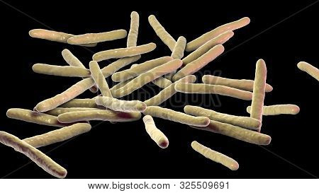 Mycobacterium Leprae Bacteria, The Causative Agent Of Leprosy, 3d Illustration