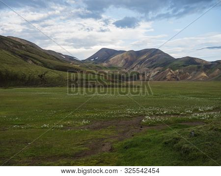 Green Meadow With Colorful Rhyolit Mountain Panorma With Multicolored Volcanos In Landmannalaugar Ar
