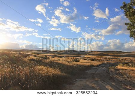 the sun is low over the grassland near lake alexandrina