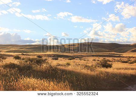 Steppe in canterbury new zealand on a sunny evening