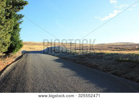 Street And Grassland In Canterbury, New Zealand